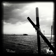 Nome File=Lignano-IMG_20150717_224917-IG-BN-1200x1200.jpg
Dimensione File=208KB
Dimensioni=1200x1200
Data aggiunta=Lug 18, 2015 Lignano-IMG_20150717_224917-IG-BN-1200x1200.jpg