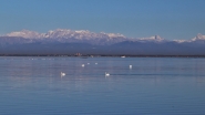 Nome File=Lignano_PSX_20241231_012048_1200x675.jpg
Dimensione File=98KB
Dimensioni=1200x675
Data aggiunta=Dic 31, 2024 Lignano_PSX_20241231_012048_1200x675.jpg