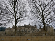 Nome File=London_2019-01-19_21_P1010442_1200x900.jpg
Dimensione File=572KB
Dimensioni=1200x900
Data aggiunta=Apr 16, 2021 London_2019-01-19_21_P1010442_1200x900.jpg