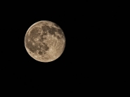 Nome File=Luna_DSC_7994_RT2_1200x900.jpeg
Dimensione File=82KB
Dimensioni=1200x900
Data aggiunta=Giu 04, 2015 Luna_DSC_7994_RT2_1200x900.jpeg
