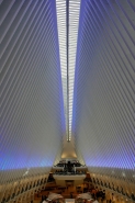 Nome File=NYC_2019-12-24_31_P1050050_800x1200.jpg
Dimensione File=305KB
Dimensioni=800x1200
Data aggiunta=Apr 09, 2020 NYC_2019-12-24_31_P1050050_800x1200.jpg