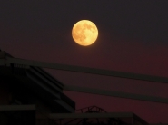 Nome File=SuperLuna_P1090011_1600cx1200.jpg
Dimensione File=127KB
Dimensioni=1200x900
Data aggiunta=Lug 31, 2014 SuperLuna_P1090011_1600cx1200.jpg