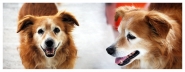 Nome File=Tommy_DSC_8583_8593_FRM_1200x473.JPG
Dimensione File=137KB
Dimensioni=1200x473
Data aggiunta=Giu 06, 2016 Tommy_DSC_8583_8593_FRM_1200x473.JPG