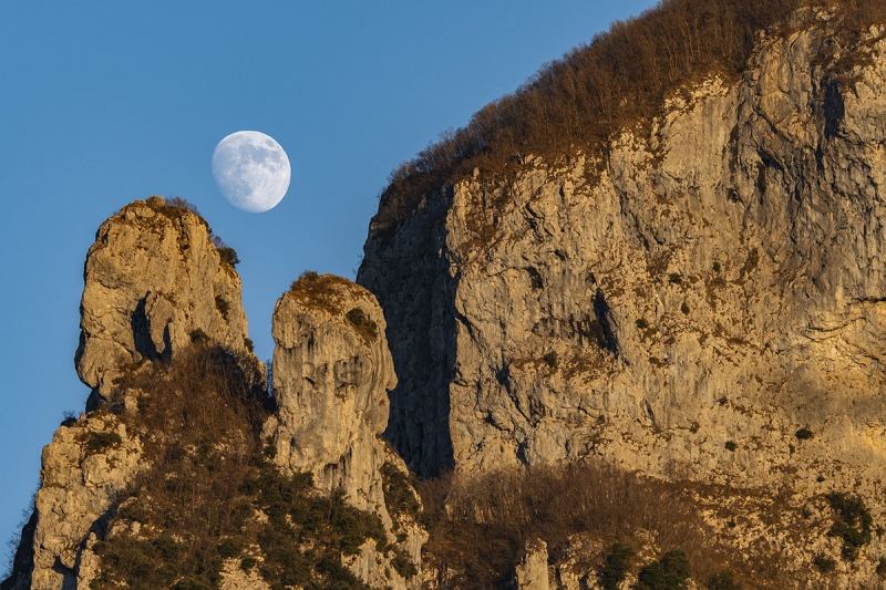 Clicca per l'immagine full size