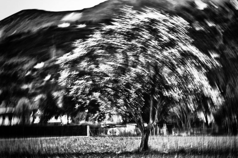 Clicca per l'immagine full size
