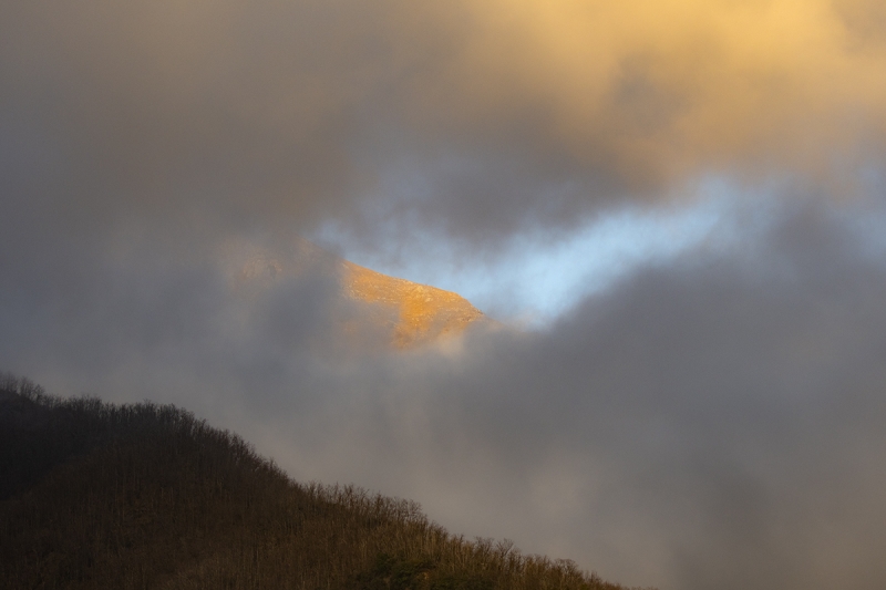 Clicca per l'immagine full size