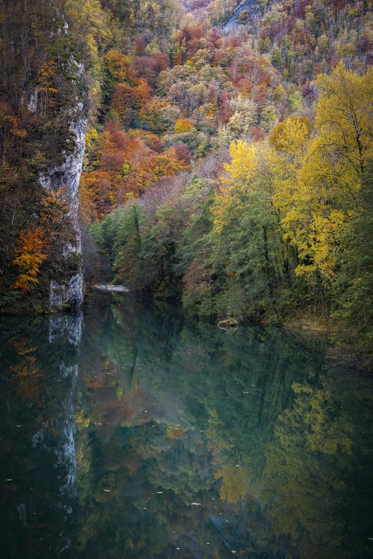Clicca per l'immagine full size
