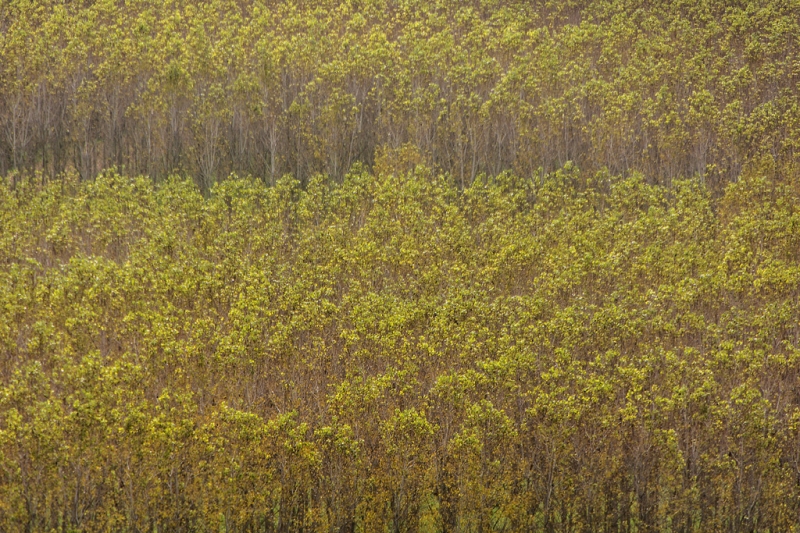Clicca per l'immagine full size