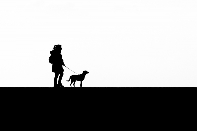 Clicca per l'immagine full size