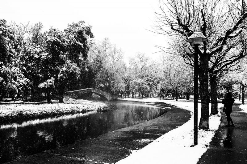 Clicca per l'immagine full size