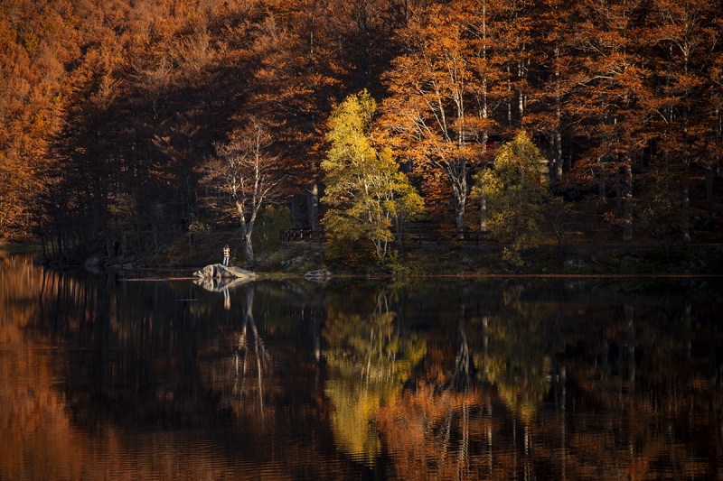 Clicca per l'immagine full size