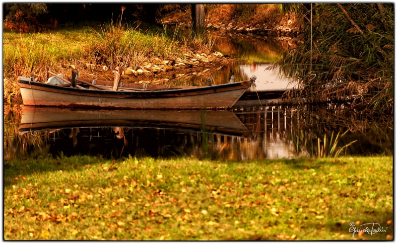 Clicca per l'immagine full size