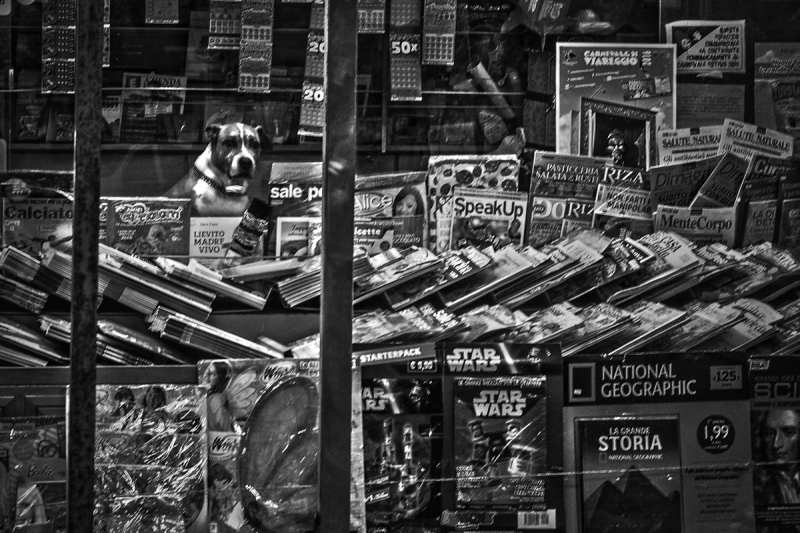 Clicca per l'immagine full size