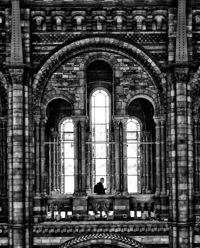 Clicca per l'immagine full size