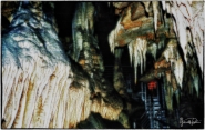 Nome File=Corchia_cave.jpg
Dimensione File=568KB
Dimensioni=1026x652
Data aggiunta=Lug 23, 2013 Corchia_cave.jpg