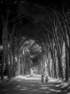 DSC_0943_mm2.jpg