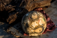 DSC_3961_[1].jpg