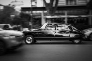 DSC_4683_mmm.jpg