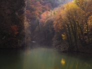 DSC_7190_mm22.jpg