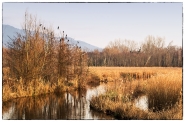Nome File=Lago_di_Porta.jpg
Dimensione File=570KB
Dimensioni=1200x792
Data aggiunta=Set 27, 2013 Lago_di_Porta.jpg
