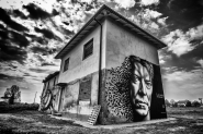 MURALES-BOWIE-BW[1].jpg