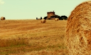 Nome File=Pienza.jpg
Dimensione File=512KB
Dimensioni=1200x730
Data aggiunta=Ago 26, 2013 Pienza.jpg