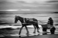 a-cavallo-sul-mare-bw.jpg