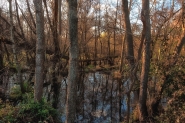 Nome File=autumn.jpg
Dimensione File=490KB
Dimensioni=900x600
Data aggiunta=Nov 26, 2014 autumn.jpg
