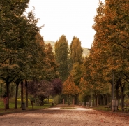 Nome File=i-colori-dell_autunno.jpg
Dimensione File=590KB
Dimensioni=850x830
Data aggiunta=Set 09, 2014 i-colori-dell_autunno.jpg