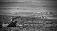 Nome File=il_mare_d_inverno_2.jpg
Dimensione File=489KB
Dimensioni=1200x666
Data aggiunta=Gen 22, 2015 il_mare_d_inverno_2.jpg