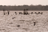 Nome File=la_vita_sul_lago___.jpg
Dimensione File=543KB
Dimensioni=1200x800
Data aggiunta=Apr 30, 2015 la_vita_sul_lago___.jpg