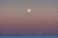 moonset-1.jpg