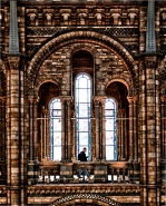 Nome File=museum.jpg
Dimensione File=573KB
Dimensioni=727x900
Data aggiunta=Mag 16, 2014 museum.jpg