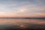 Nome File=orbetello2___.jpg
Dimensione File=481KB
Dimensioni=1200x800
Data aggiunta=Ago 13, 2016 orbetello2___.jpg