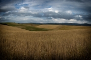 Nome File=panoramica_orciano___.jpg
Dimensione File=473KB
Dimensioni=1200x800
Data aggiunta=Giu 17, 2015 panoramica_orciano___.jpg