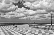 Nome File=passeggiata_in_uno_strano_ferragosto___.jpg
Dimensione File=531KB
Dimensioni=1200x785
Data aggiunta=Feb 01, 2015 passeggiata_in_uno_strano_ferragosto___.jpg