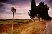 Nome File=segnali-toscani.jpg
Dimensione File=575KB
Dimensioni=1200x779
Data aggiunta=Mag 20, 2014 segnali-toscani.jpg