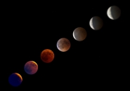 Nome File=sequenza_eclissi_.jpg
Dimensione File=165KB
Dimensioni=1200x847
Data aggiunta=Ago 01, 2018 sequenza_eclissi_.jpg