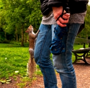 strani-incontri-a-Hyde-Park.jpg