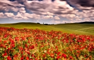 Nome File=tuscany-colors.jpg
Dimensione File=588KB
Dimensioni=1000x638
Data aggiunta=Giu 03, 2014 tuscany-colors.jpg
