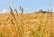 Nome File=tuscany_summer_2.jpg
Dimensione File=523KB
Dimensioni=1200x834
Data aggiunta=Giu 27, 2014 tuscany_summer_2.jpg
