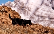 Nome File=una-corsa-e-poi__.jpg
Dimensione File=580KB
Dimensioni=1100x684
Data aggiunta=Mar 24, 2014 una-corsa-e-poi__.jpg