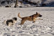 Nome File=winter_game.jpg
Dimensione File=420KB
Dimensioni=1200x800
Data aggiunta=Feb 03, 2015 winter_game.jpg