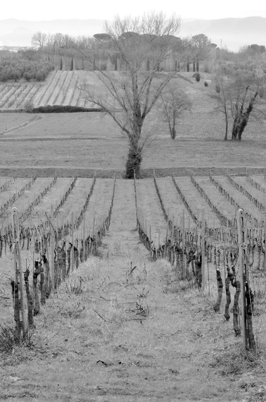 Clicca per l'immagine full size