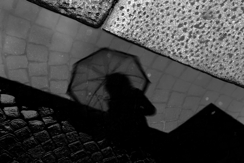 Clicca per l'immagine full size