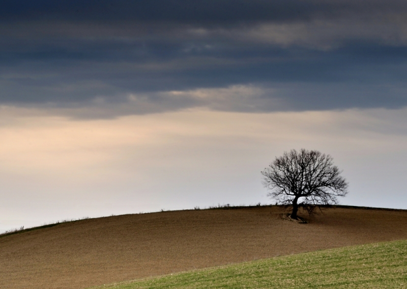 Clicca per l'immagine full size