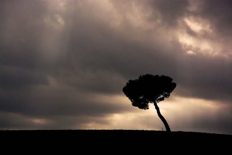 Clicca per l'immagine full size