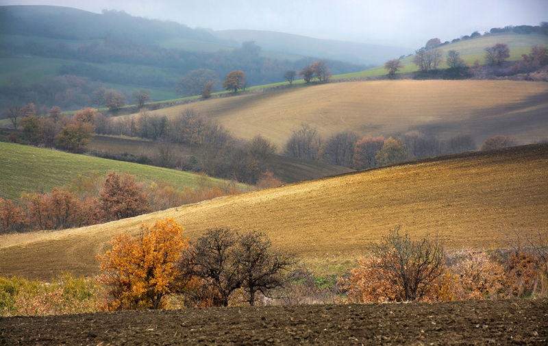 Clicca per l'immagine full size