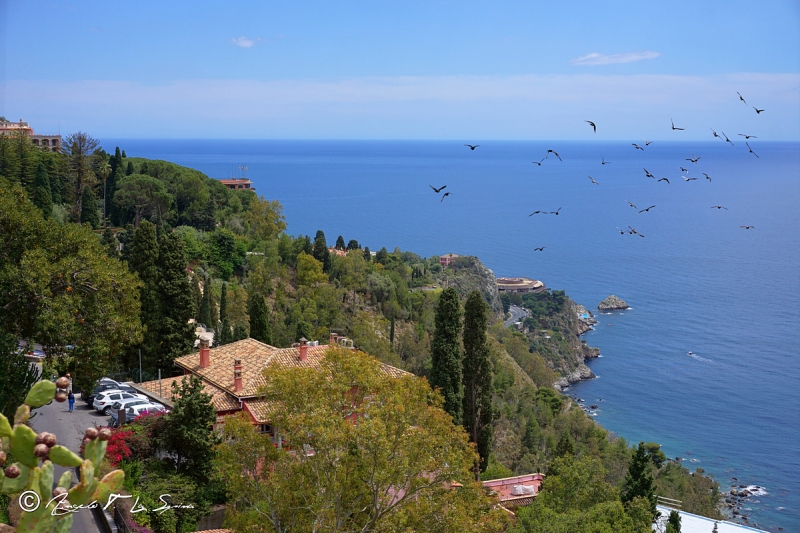 Clicca per l'immagine full size