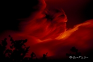Nome File=Angel_of_fire.JPG
Dimensione File=40KB
Dimensioni=960x640
Data aggiunta=Gen 29, 2015 Angel_of_fire.JPG